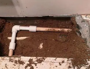 建华测漏水哪家好