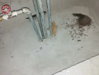 建华卫生间测漏水价格明细