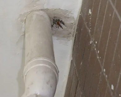 建华漏水检测哪家好